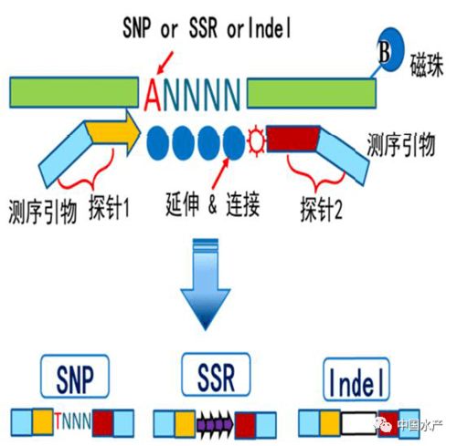 十三五重大漁業(yè)科技發(fā)展回顧與展望
