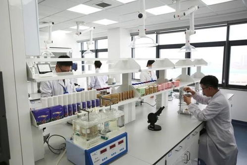 科技賦能研發(fā)，鍛造高質(zhì)量產(chǎn)品——康婷慧科技的技術(shù)開發(fā)之路